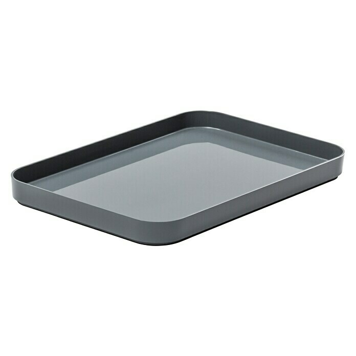 SmartStore Deckel CompactL x B x H: 29 x 20 x 2,5 cm, Kunststoff, Grau Front View