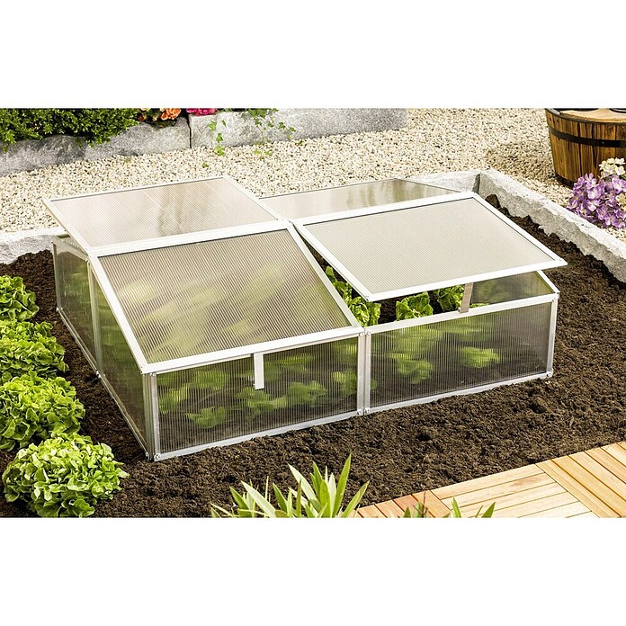 Vitavia Frühbeet Gaia 2X (100 x 120 x 26 cm, Transparent, Polycarbonat)