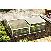 Vitavia Frühbeet Gaia 2X (100 x 120 x 26 cm, Transparent, Polycarbonat)