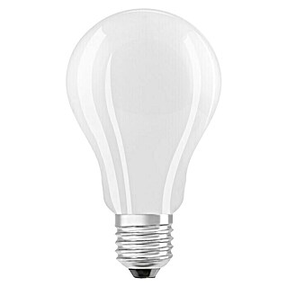 Osram Star LED-Lampe Glühlampenform E27 matt (E27, 16 W, 2 500 lm, Kaltweiß)