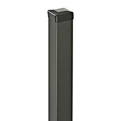 Polbram Zaunpfosten (L x B x H: 7 x 7 x 180 cm, Anthrazit, Stahl, Glatt) | BAUHAUS