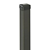 Polbram Zaunpfosten (L x B x H: 5 x 5 x 180 cm, Anthrazit, Stahl, Glatt) | BAUHAUS