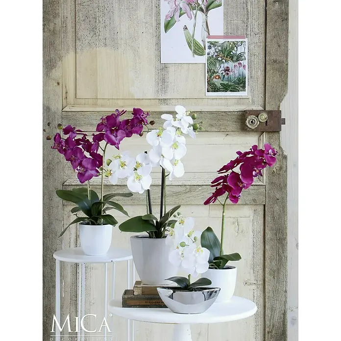 Kunstblume Phalaenopsis - Höhe: 60 cm, Blütenfarbe: Violett - Dekoratives Stillleben mit weißen und lila Orchideen in eleganten Töpfen, ideal für eine stilvolle Inneneinrichtung.
