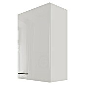 Flex-Well Lund Hängeschrank (B x T x H: 60 x 32 x 54,8 cm, Lichtgrau) | BAUHAUS