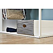 Kutija s ladicama Qbox velika kutija za pohranu  (D x Š x V: 40 x 28 x 15 cm, Broj ladica: 1 Kom.) | BAUHAUS