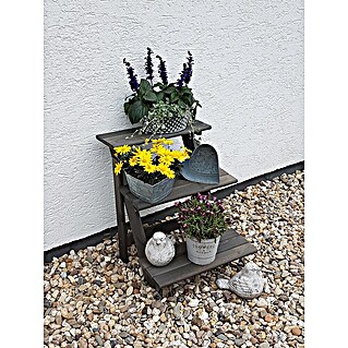 Promadino Blumentreppe (60 x 50 x 56 cm, Kiefer, Grau)
