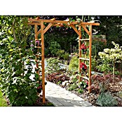 Promadino Pergola Anke (60 x 200 x 210 cm, Honigbraun, Holz) | BAUHAUS