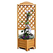 Promadino Pflanzkasten Romantica (Außenmaß (L x B x H): 140 x 38 x 38 cm, Holz, Honigbraun) | BAUHAUS