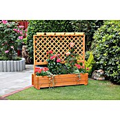 Promadino Pflanzkasten mit Pergola (Außenmaß (L x B x H): 140 x 64,5 x 140 cm, Holz, Honigbraun) | BAUHAUS