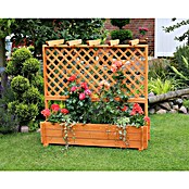 Promadino Pflanzkasten mit Pergola (Außenmaß (L x B x H): 140 x 64,5 x 140 cm, Holz, Honigbraun) | BAUHAUS