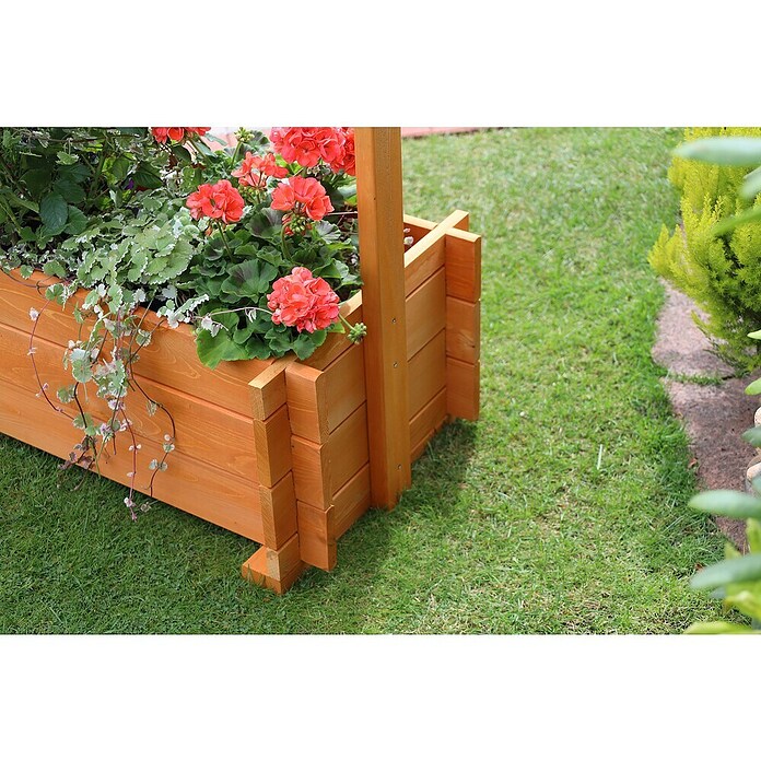 Promadino Pflanzkasten mit Pergola (Außenmaß (L x B x H): 140 x 64,5 x 140 cm, Holz, Honigbraun) | BAUHAUS