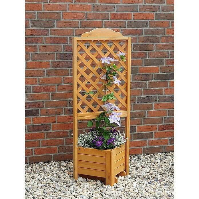 Promadino Pflanzkasten Romantica (Außenmaß (L x B x H): 140 x 38 x 38 cm, Holz, Honigbraun) | BAUHAUS