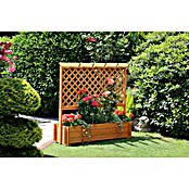 Promadino Pflanzkasten mit Pergola (Außenmaß (L x B x H): 140 x 64,5 x 140 cm, Holz, Honigbraun) | BAUHAUS