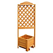 Promadino Pflanzkasten Romantica (Außenmaß (L x B x H): 140 x 38 x 38 cm, Holz, Honigbraun) | BAUHAUS