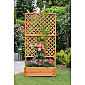 Promadino Pflanzkasten mit Pergola (Außenmaß (L x B x H): 200 x 64,5 x 102 cm, Holz, Honigbraun) | BAUHAUS