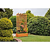 Promadino Pflanzkasten mit Pergola (Außenmaß (L x B x H): 200 x 64,5 x 102 cm, Holz, Honigbraun) | BAUHAUS