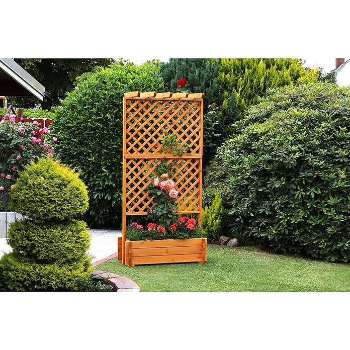 Promadino Pflanzkasten mit Pergola (Außenmaß (L x B x H): 200 x 64,5 x 102 cm, Holz, Honigbraun) | BAUHAUS