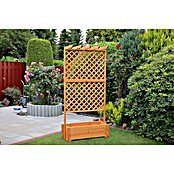 Promadino Pflanzkasten mit Pergola (Außenmaß (L x B x H): 200 x 64,5 x 102 cm, Holz, Honigbraun) | BAUHAUS