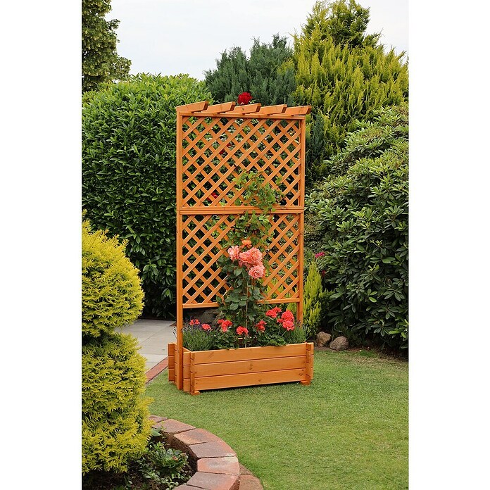 Promadino Pflanzkasten mit Pergola (Außenmaß (L x B x H): 200 x 64,5 x 102 cm, Holz, Honigbraun) | BAUHAUS