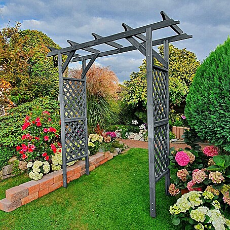 Promadino Pergola Bamberg (51 x 200 x 208 cm, Grau, Holz)