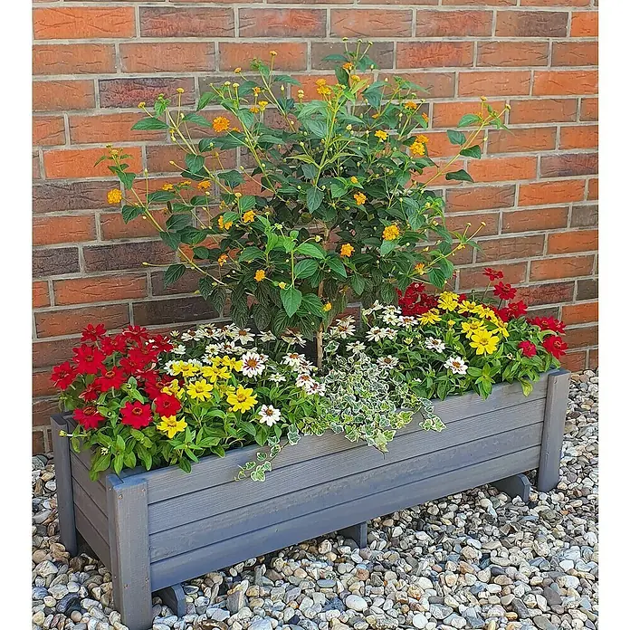 Promadino Pflanzkasten Romantica - Außenmaß (L x B x H): 34 x 38 x 78 cm, Holz, Grau - Blumenkasten mit einem gelb-orangenfarbenen Zierstrauch sowie gelben, roten und weißen Zinnien. Hübsche Gartendekoration.