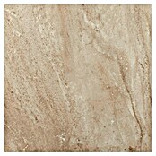 Feinsteinzeugfliese Jasper Lux (60 x 60 cm, Beige, Glänzend)