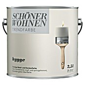 SCHÖNER WOHNEN-Farbe Wandfarbe Trendfarbe Jubiläumsedition (Hygge, Matt, 2,5 l, Konservierungsmittelfrei) | BAUHAUS