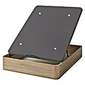 Unique Canapé Plus (L x An x Al: 200 x 90 x 36 cm, Roble Cambrian, Abatible) | BAUHAUS