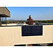 Solarni modul Vklopi sonce  (800 W, D x Š x V: 1.723 x 1.134 x 35 mm) | BAUHAUS