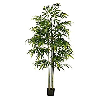 Kunstpflanze Bambus (Höhe: 182 cm, Grün, Kunststoff)