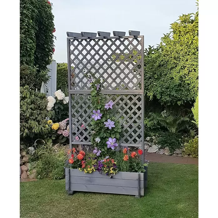 Promadino Pflanzkasten mit Pergola - Außenmaß (L x B x H): 200 x 64,5 x 102 cm, Holz, Grau - Graues Holzgefäß mit Spalier, das lila Clematis stützt und mit bunten Blumen in einem Garten gefüllt ist.
