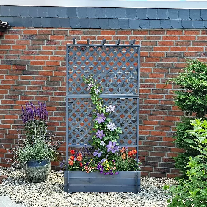 Promadino Pflanzkasten mit Pergola - Außenmaß (L x B x H): 200 x 64,5 x 102 cm, Holz, Grau - Graues Holzspalier mit integriertem Pflanzkasten, das eine Kletter-Clematis an einer Ziegelwand trägt.