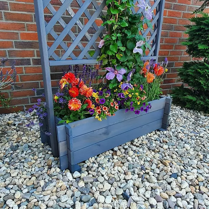 Promadino Pflanzkasten mit Pergola - Außenmaß (L x B x H): 200 x 64,5 x 102 cm, Holz, Grau - Graues Holzpflanzgefäß mit Spalier, gefüllt mit bunten Blumen in einer Gartenumgebung.