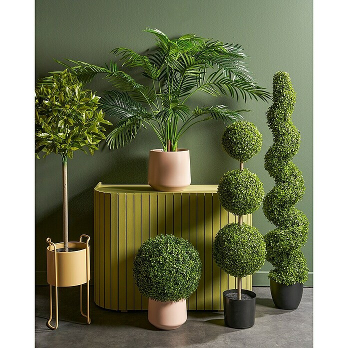 monstera monkey leaf care Monstera adansonii - Philodendron Monkey Mask Houseplants | Hortology