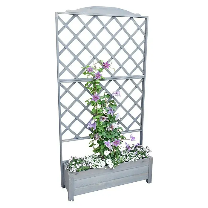 Promadino Pflanzkasten Botanica - Außenmaß (L x B x H): 210 x 32 x 110 cm, Holz, Grau - Ein graues Pflanzgefäß mit Spalier, bepflanzt mit violetten Clematis und weißen Blumen. Das Spalier bietet Kletterhilfe für die prächtigen Pflanzen.