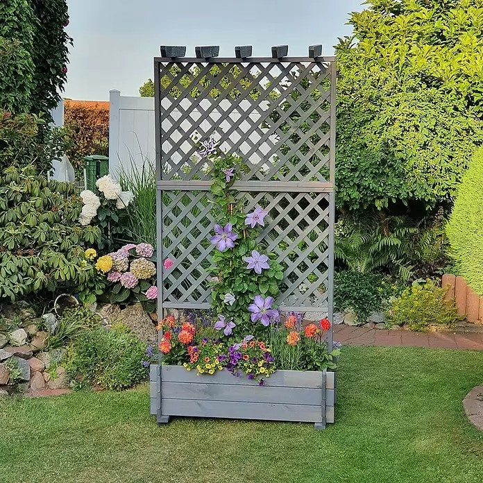 Promadino Pflanzkasten mit Pergola - Außenmaß (L x B x H): 200 x 64,5 x 102 cm, Holz, Grau - Grauer Holzpflanzkasten mit integriertem Rankgitter, an dem eine Clematis rankt und der mit bunten Blumen gefüllt ist, im Garten.