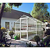 KGT Gewächshaus Rose III (3,23 x 2,33 x 2,15 m, Polycarbonat, Glasstärke: 10 mm, Pressblank)
