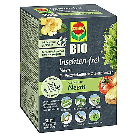 knstliche olivenbaum Knstlicher Olivenbaum 180 cm  Tannendiele BlumenGut Dsseldorf