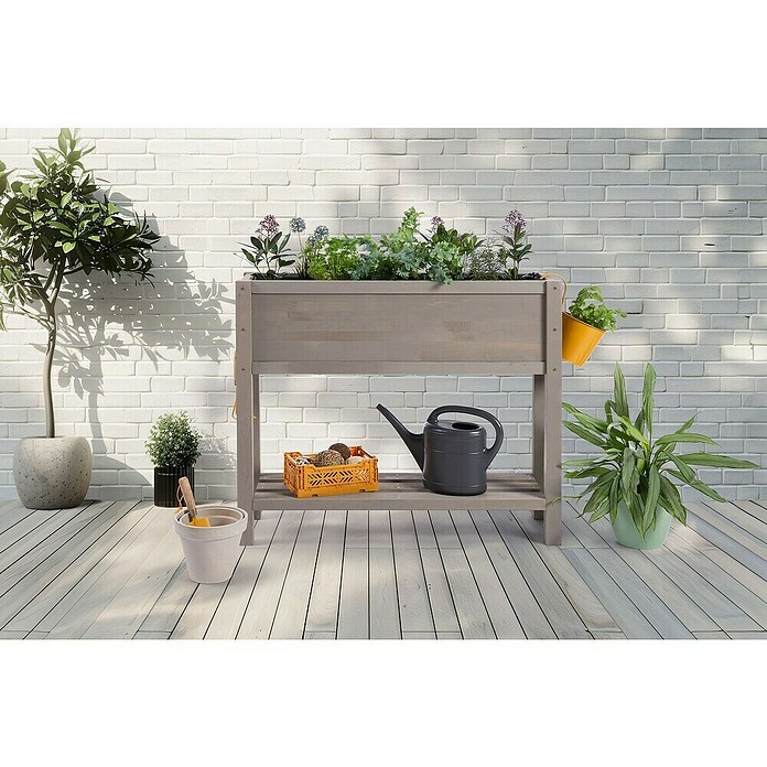 Sun Hochbeet Bloom 100 (100 x 30 x 85 cm, Holz, Warmgrau) | BAUHAUS