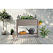 Sun Hochbeet Bloom 100 (100 x 30 x 85 cm, Holz, Warmgrau) | BAUHAUS