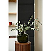 Fllow Deko-Wandpolster Velvet (Schwarz, L x B: 60 x 30 cm) | BAUHAUS
