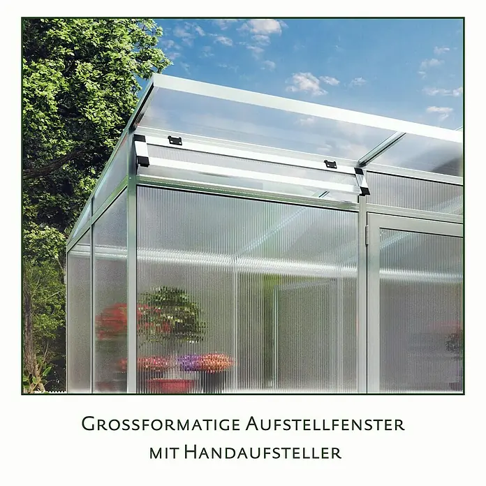 KGT Gewächshaus Santini II - small - Außenmaß inkl. Dachüberstand (B x T): 233 x 155 cm, Material Seitenwand: Kunststoff, 16 mm, Anthrazit-grau - Großformatiges Aufstellfenster mit Handaufsteller für ein Gewächshaus.