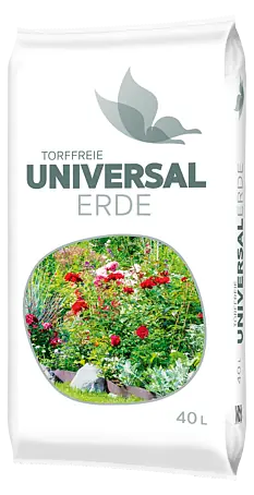 große ufopflanze Ufopflanze | Pilea peperomioides