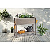 Sun Hochbeet Bloom 100 (100 x 30 x 85 cm, Holz, Warmgrau) | BAUHAUS