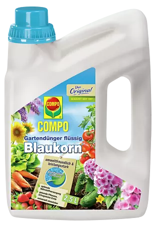 sonnenblumen düngen blaukorn Sonnenblumenkerne zum Pflanzen für die Pflanzung Blue – Pure Asia Seeds main image 0