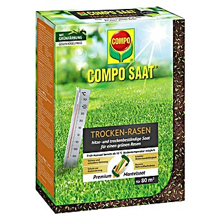Compo Saat Rasensamen Trockenrasen (2 kg, 80 m²)