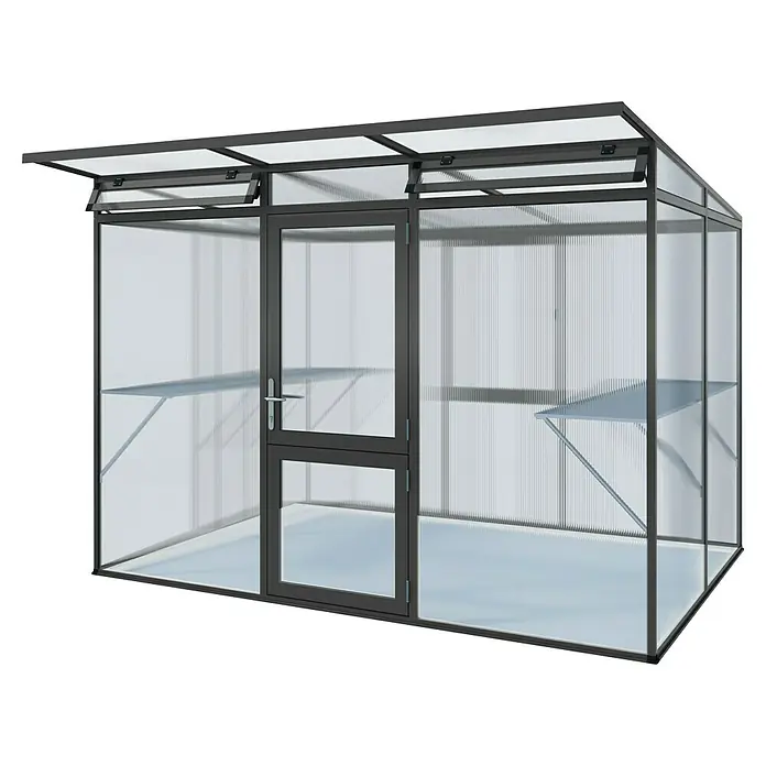 KGT Gewächshaus Linea II - Außenmaß inkl. Dachüberstand (B x T): 297 x 204 cm, 10 mm, Anthrazitgrau - Das Bild zeigt ein Gewächshaus mit Regalen. Das Gewächshaus hat ein Metallgestell und transparente Wände, ideal für Pflanzen.