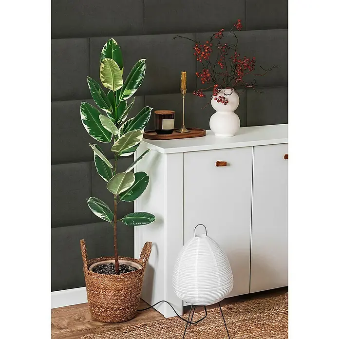 Fllow Wandpolster Velvet - Anthrazit, L x B: 60 x 30 cm - Zimmerpflanze in einem Korb neben einem weißen Schrank, verziert mit einer Kerze, einer Vase mit roten Beeren und einer stilvollen Lampe.