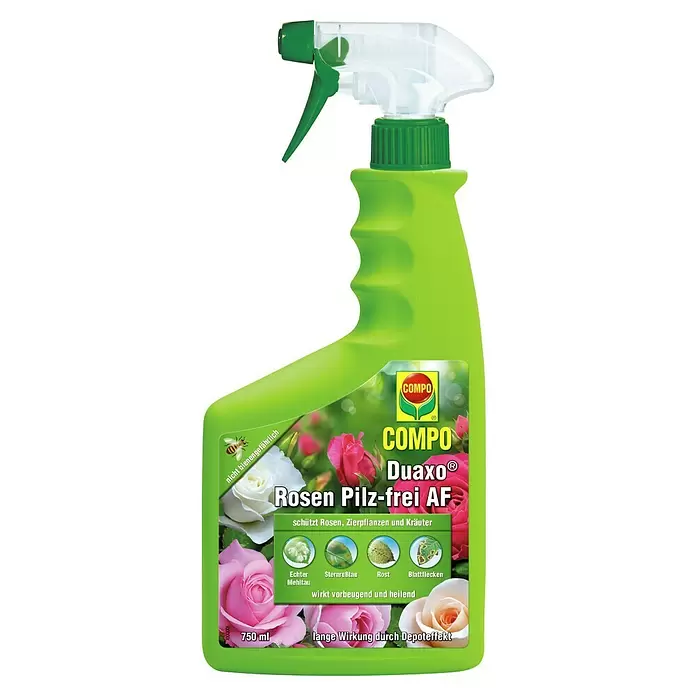 Compo Rosen- & Zierpflanzen-Pilzfrei Duaxo AF - 750 ml - Grünes COMPO Duaxo Rosen Pilz-frei AF Sprühflasche (750ml) zum Schutz von Rosen und Zierpflanzen.