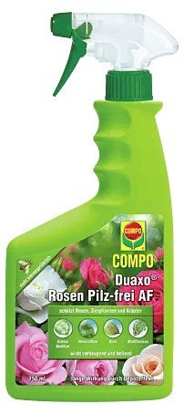 Compo Rosen- & Zierpflanzen-Pilzfrei Duaxo AF - 750 ml online kaufen bei  BAUHAUS